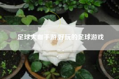 足球大咖手游,好玩的足球游戏