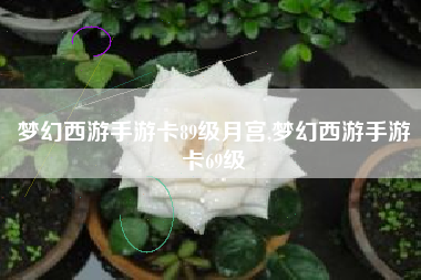 梦幻西游手游卡89级月宫,梦幻西游手游卡69级