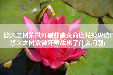 悠久之树紫微歼星战廉贞商店兑换攻略(悠久之树紫微歼星战出了什么问题)