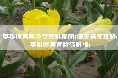英雄迷宫冒险受死难度图4通关搭配攻略(英雄迷宫冒险破解版)