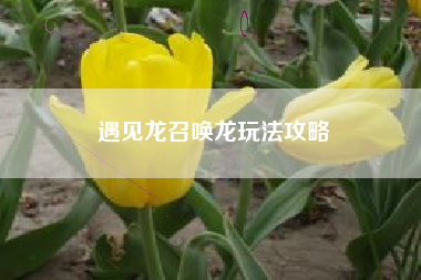 遇见龙召唤龙玩法攻略