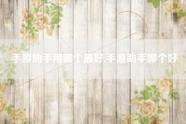 手游助手用哪个最好,手游助手哪个好