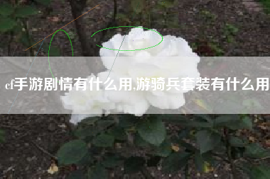 cf手游剧情有什么用,游骑兵套装有什么用