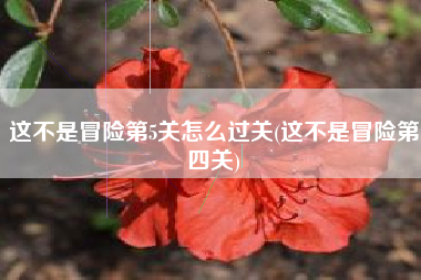 这不是冒险第5关怎么过关(这不是冒险第四关)