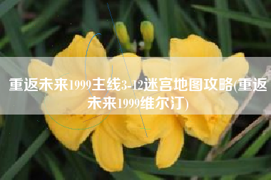 重返未来1999主线3-12迷宫地图攻略(重返未来1999维尔汀)