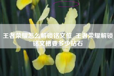 王者荣耀怎么解锁铭文位_王者荣耀解锁铭文槽要多少钻石