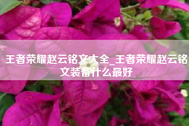 王者荣耀赵云铭文大全_王者荣耀赵云铭文装备什么最好