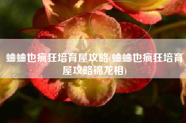 蛐蛐也疯狂培育屋攻略(蛐蛐也疯狂培育屋攻略锦龙相)