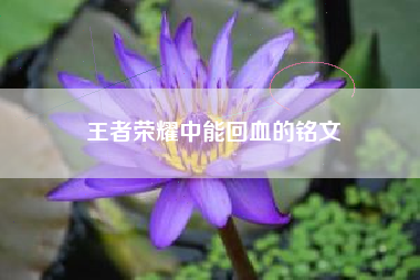 王者荣耀中能回血的铭文