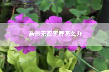 谍影无双黑屏怎么办