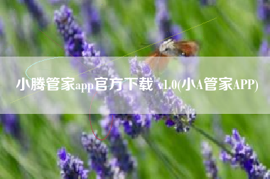 小腾管家app官方下载 v1.0(小A管家APP)