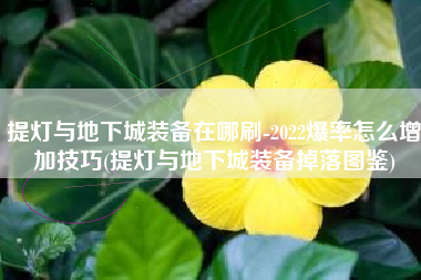 提灯与地下城装备在哪刷-2022爆率怎么增加技巧(提灯与地下城装备掉落图鉴)
