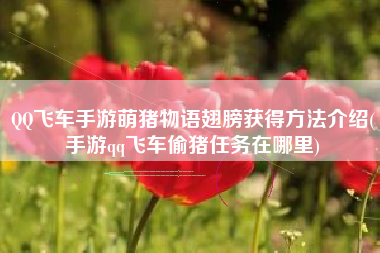 QQ飞车手游萌猪物语翅膀获得方法介绍(手游qq飞车偷猪任务在哪里)