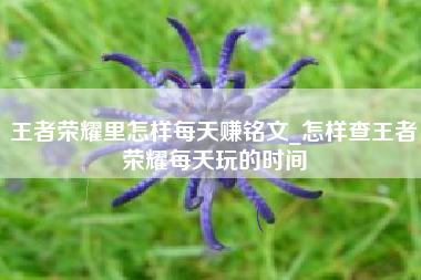 王者荣耀里怎样每天赚铭文_怎样查王者荣耀每天玩的时间