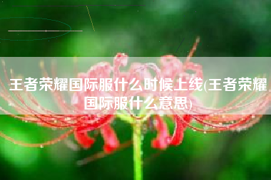 王者荣耀国际服什么时候上线(王者荣耀国际服什么意思)