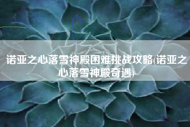 诺亚之心落雪神殿困难挑战攻略(诺亚之心落雪神殿奇遇)