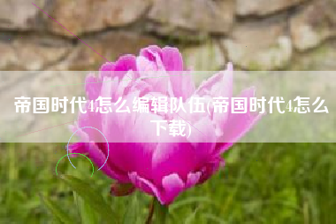 帝国时代4怎么编辑队伍(帝国时代4怎么下载)