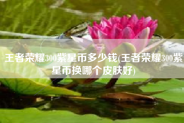 王者荣耀300紫星币多少钱(王者荣耀300紫星币换哪个皮肤好)
