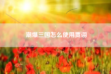 潮爆三国怎么使用贾诩