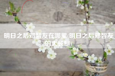 明日之后邓智友在哪里(明日之后邓智友的大长腿)