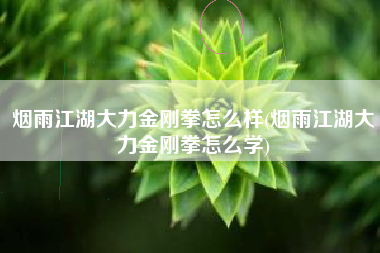 烟雨江湖大力金刚拳怎么样(烟雨江湖大力金刚拳怎么学)