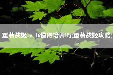 重装战姬α-16值得培养吗(重装战姬攻略)