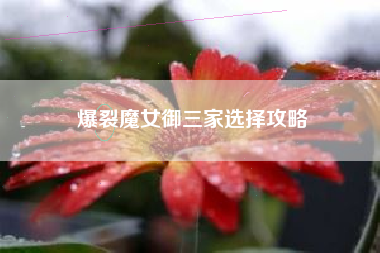 爆裂魔女御三家选择攻略