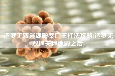 造梦无双迷魂殿秦广王打法攻略(造梦无双通关迷魂殿之后)