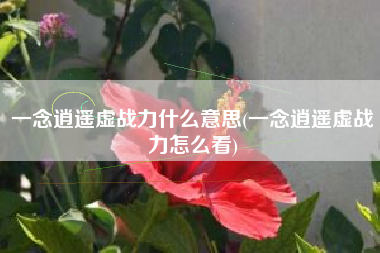 一念逍遥虚战力什么意思(一念逍遥虚战力怎么看)