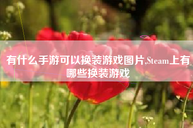 有什么手游可以换装游戏图片,Steam上有哪些换装游戏