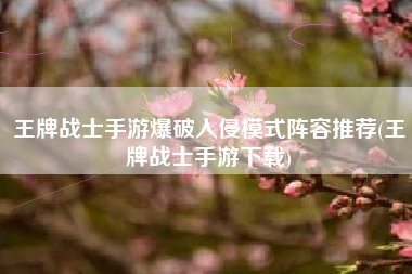 王牌战士手游爆破入侵模式阵容推荐(王牌战士手游下载)