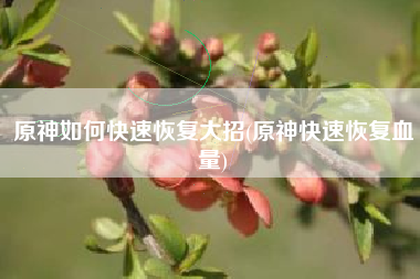 原神如何快速恢复大招(原神快速恢复血量)