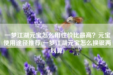 一梦江湖元宝怎么用性价比最高？元宝使用途径推荐(一梦江湖元宝怎么换银两划算)