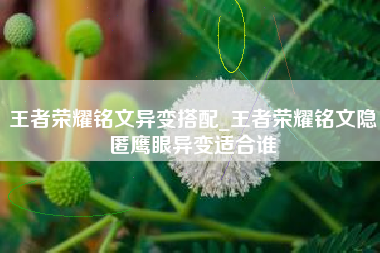 王者荣耀铭文异变搭配_王者荣耀铭文隐匿鹰眼异变适合谁