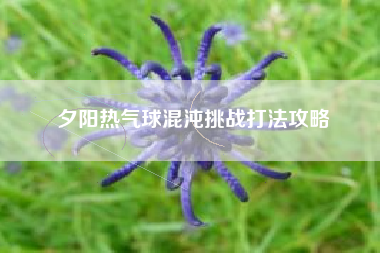 夕阳热气球混沌挑战打法攻略