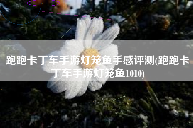 跑跑卡丁车手游灯笼鱼手感评测(跑跑卡丁车手游灯笼鱼1010)