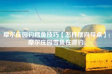 摩尔庄园钓鳕鱼技巧【怎样摆向导桌】(摩尔庄园雪鱼在哪钓)