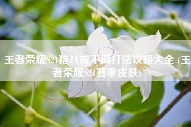 王者荣耀S21猪八戒不同打法攻略大全 (王者荣耀S21赛季皮肤)