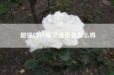 超强口径精灵洛奇亚怎么得