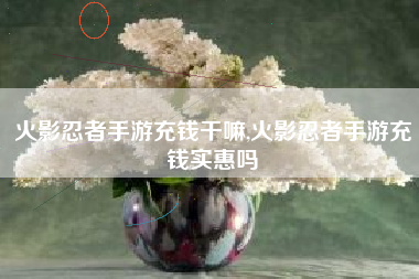 火影忍者手游充钱干嘛,火影忍者手游充钱实惠吗