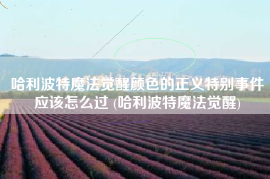 哈利波特魔法觉醒颜色的正义特别事件应该怎么过 (哈利波特魔法觉醒)