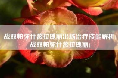 战双帕弥什薇拉瑰丽出场治疗技能解析(战双帕弥什薇拉瑰丽)