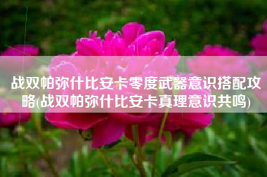 战双帕弥什比安卡零度武器意识搭配攻略(战双帕弥什比安卡真理意识共鸣)