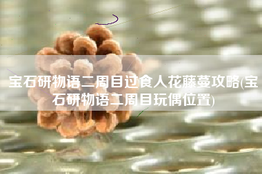 宝石研物语二周目过食人花藤蔓攻略(宝石研物语二周目玩偶位置)