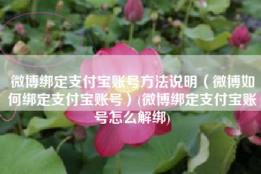 微博绑定支付宝账号方法说明（微博如何绑定支付宝账号）(微博绑定支付宝账号怎么解绑)