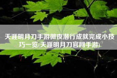 天涯明月刀手游微夜潜行成就完成小技巧一览(天涯明月刀官网手游)