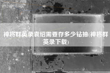 神将群英录袁绍需要存多少钻抽(神将群英录下载)