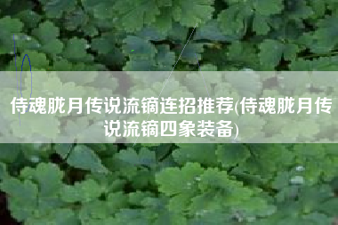 侍魂胧月传说流镝连招推荐(侍魂胧月传说流镝四象装备)