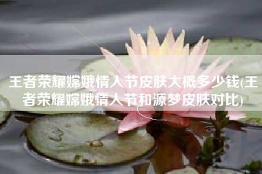 王者荣耀嫦娥情人节皮肤大概多少钱(王者荣耀嫦娥情人节和源梦皮肤对比)