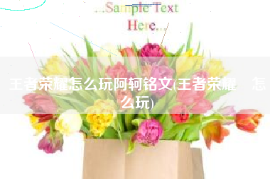 王者荣耀怎么玩阿轲铭文(王者荣耀暃怎么玩)